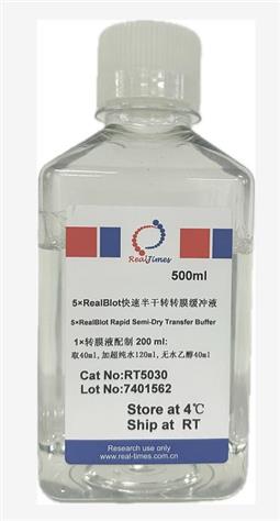 5×RealBlot快速半干轉轉膜緩沖液