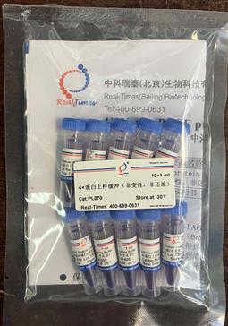 4×蛋白上樣緩沖（非變性，非還原）