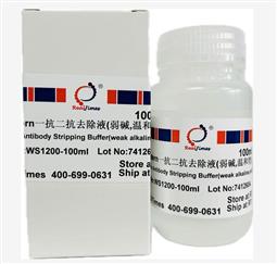 Western一抗二抗去除液（弱堿，溫和型）